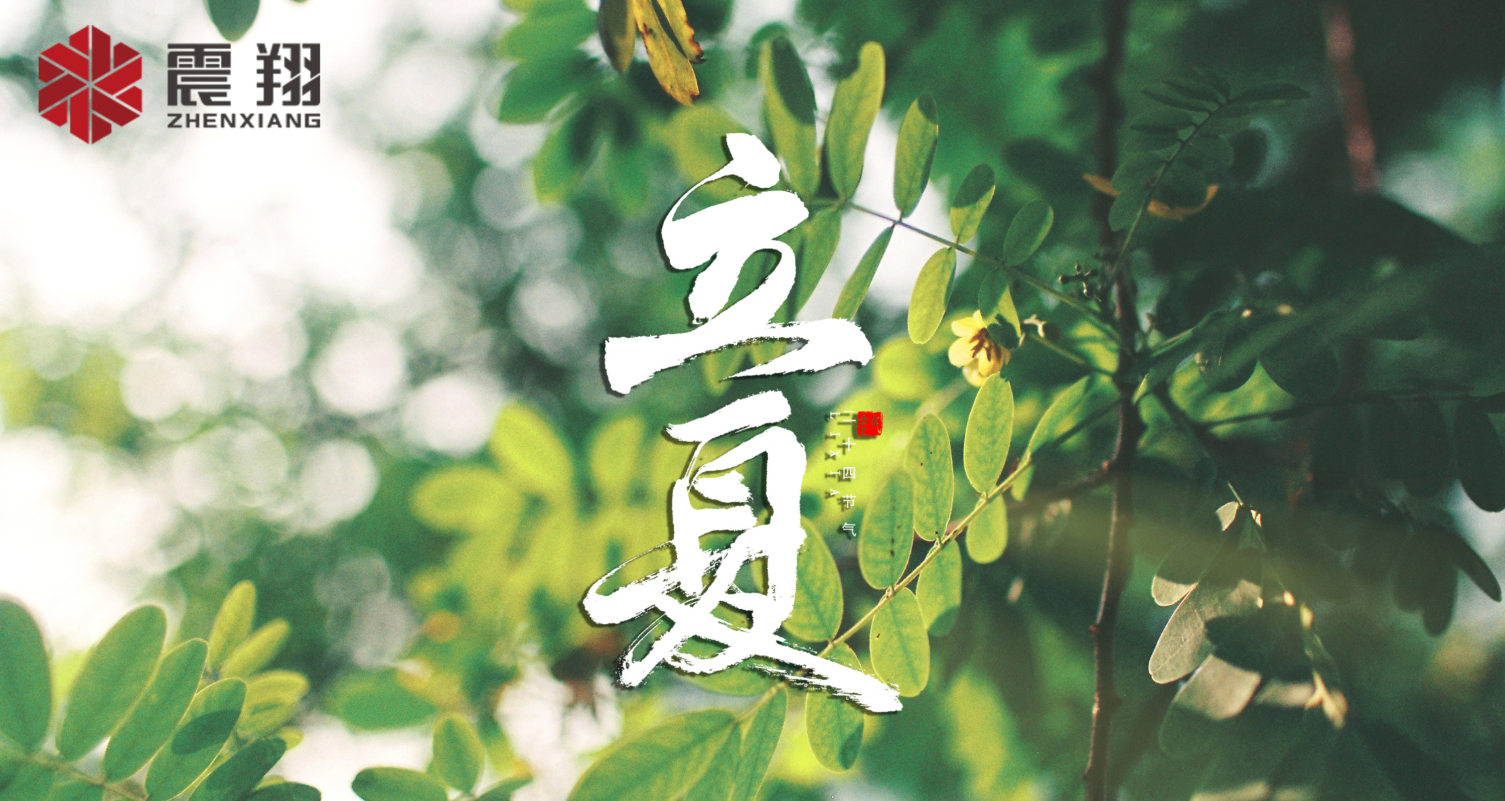 【立夏】春去春來(lái)不曾留意，夏日當(dāng)歸，撲面而來(lái)
